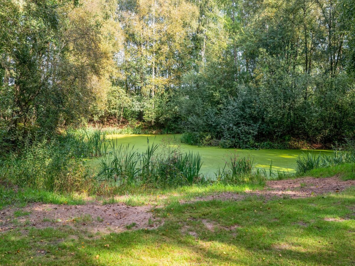 Ferienhaus Rheezerveen Außenaufnahme 14