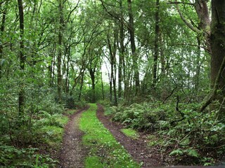 Maison de vacances Linde Enregistrement extérieur 8
