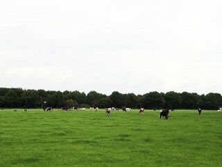 Casa per le vacanze Linde Ambiente 36