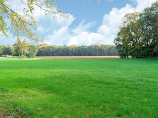 Ferienhaus Dwingeloo Umgebung 31