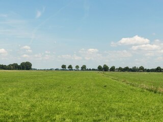 Chalet Hulshorst Environnement 30