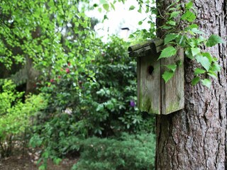 Villa Nunspeet Außenaufnahme 6