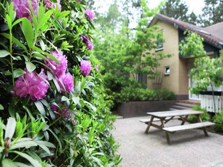 Villa Nunspeet Grabación al aire libre 10