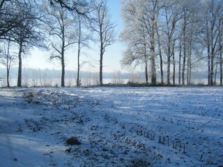 Holiday house Raalte Environment 31