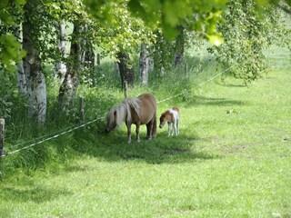 Casa de vacaciones Schalkhaar Entorno 30