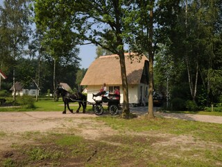 Vakantiehuis Schalkhaar Buitenaudio-opname 10