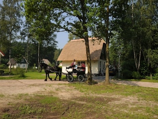 Vakantiehuis Schalkhaar Buitenaudio-opname 13