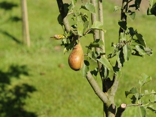 Casa de vacaciones Schalkhaar Grabación al aire libre 13