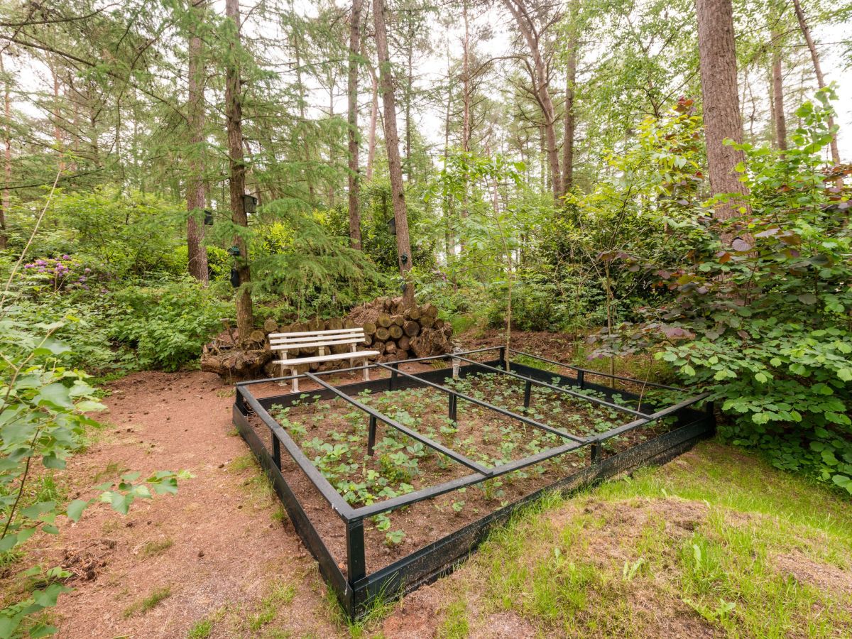 Bungalow Nijhoff, Giethmen, Firma Belvilla Ferienwohnungen