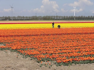 Villa Biddinghuizen Omgeving 27