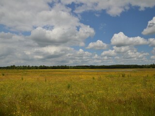 Vakantiehuisje De Bult Omgeving 36