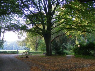 Vakantiehuisje De Bult Omgeving 37