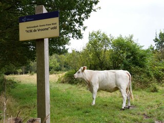 Vakantiehuisje De Bult Omgeving 34
