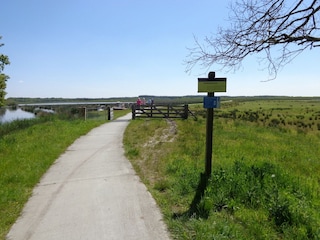 Bauernhof Appelscha Umgebung 24