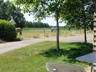 Boerderij Appelscha Buitenaudio-opname 8