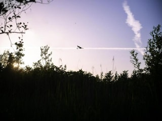 Farmhouse Appelscha Environment 30