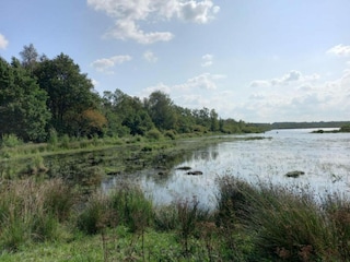 Bauernhof Appelscha Umgebung 31