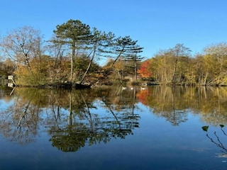 Bauernhof Appelscha Umgebung 32
