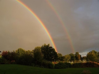 Farmhouse Appelscha Environment 22
