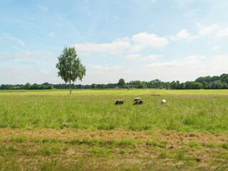 Type de propriété : Ferme Donkerbroek Environnement 34