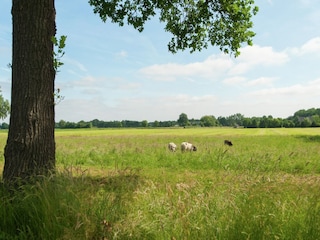 Bauernhof Donkerbroek Umgebung 26