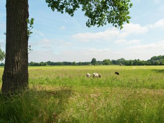 Type de propriété : Ferme Donkerbroek Environnement 29