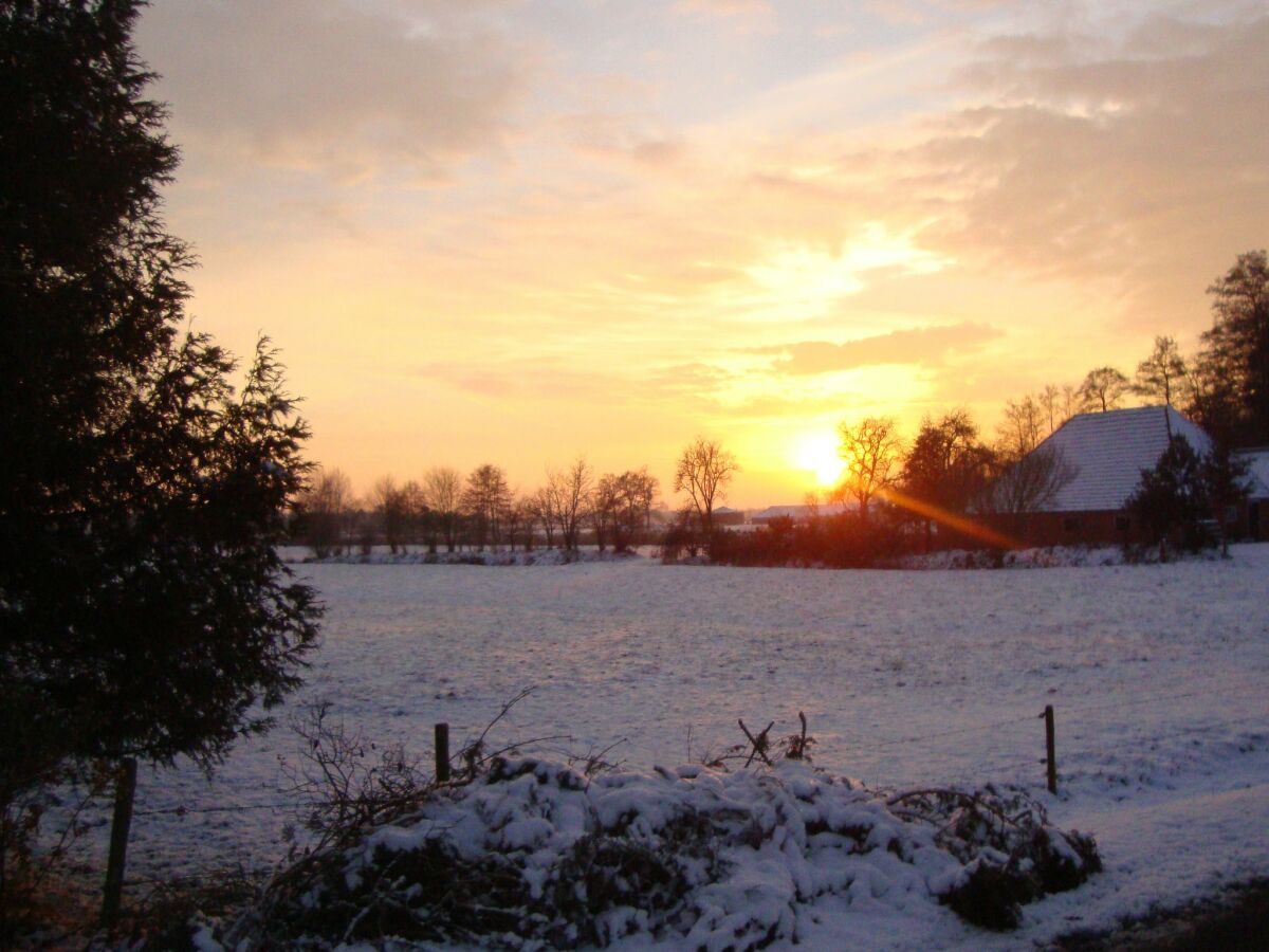 Farmhouse Donkerbroek Outdoor Recording 7