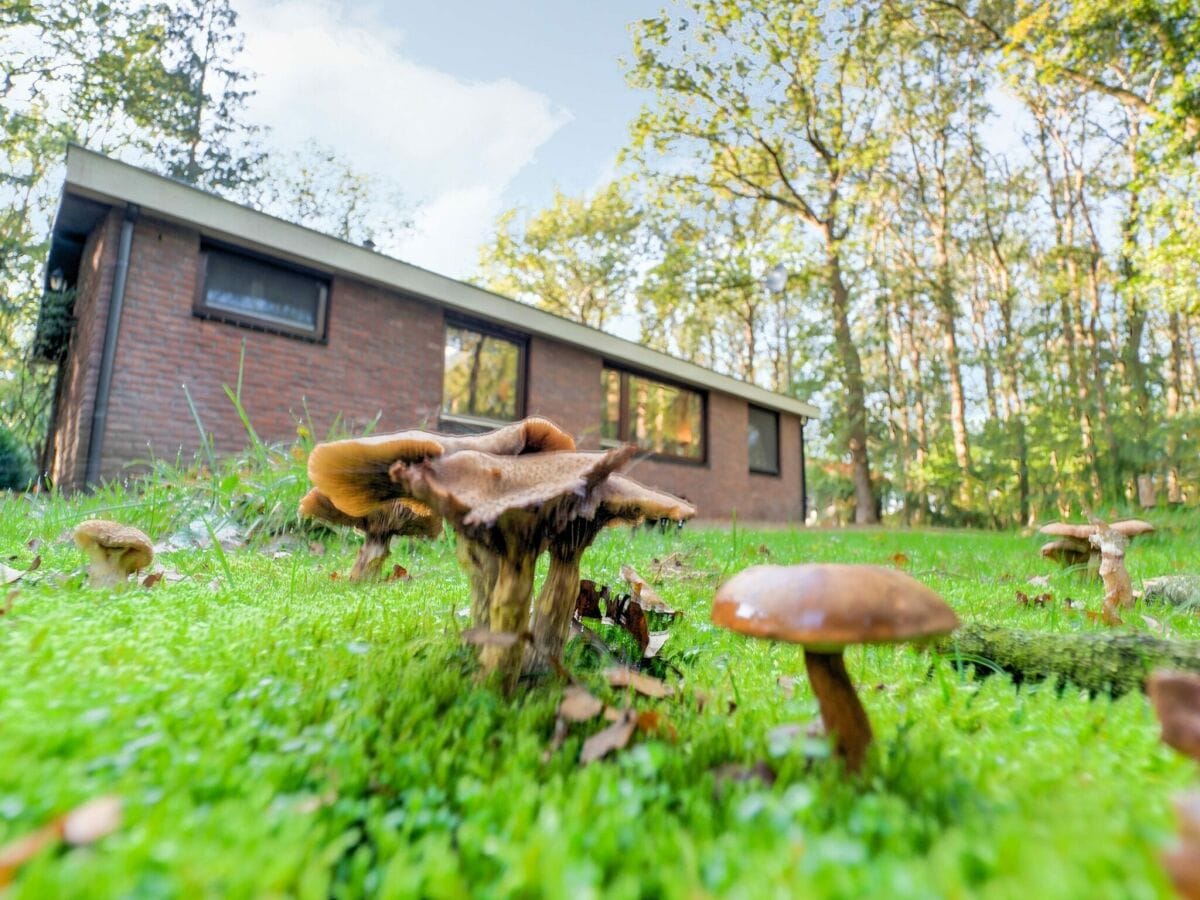 Casa de vacaciones Zorgvlied Grabación al aire libre 1