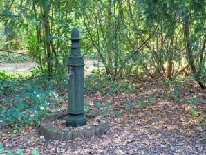 Ferienhaus in Zorgvlied am Drents