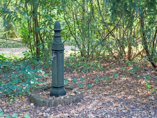 Ferienhaus Zorgvlied Außenaufnahme 2
