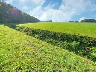 Maison de vacances Zorgvlied Environnement 37