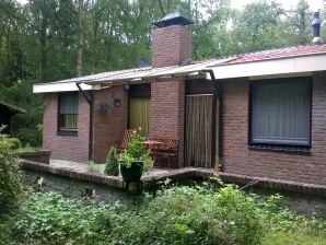 Ferienhaus in Zorgvlied am Drents-Friese Wold - Zorgvlied - image1