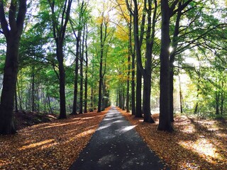 Casa de vacaciones Zorgvlied Entorno 37