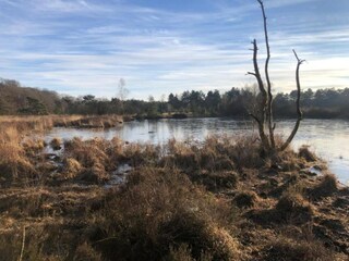 Casa per le vacanze Zorgvlied Ambiente 38