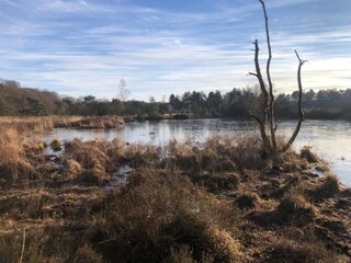 Vakantiehuis Zorgvlied Omgeving 38