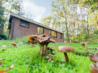 Casa per le vacanze Zorgvlied Registrazione all'aperto 11