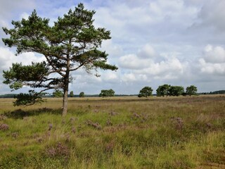Vakantiehuis Zorgvlied Omgeving 28
