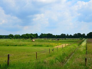 Maison de vacances Zorgvlied Environnement 24