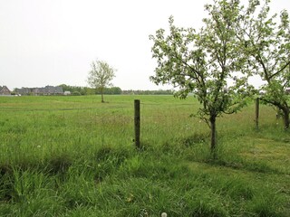 Casa de vacaciones Boornzwaag Entorno 16