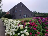 Casa de vacaciones Boornzwaag Grabación al aire libre 1