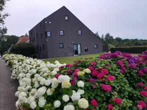 Luxuriöses Ferienhaus mit eigener Terrasse - Boornzwaag - image1