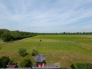 Ferienhaus Boornzwaag Außenaufnahme 3