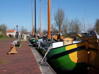 Casa de vacaciones Boornzwaag Entorno 21