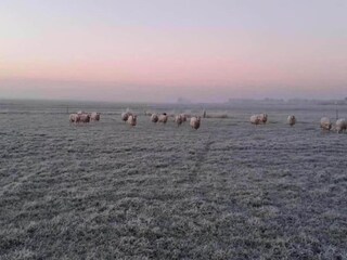 Vakantiehuis Boornzwaag Omgeving 21