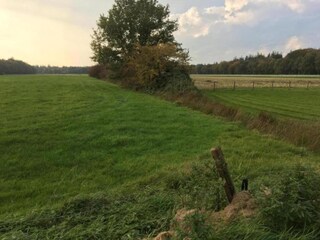 Ferienhaus Boornzwaag Umgebung 32
