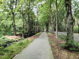 Vakantiehuis Boornzwaag Omgeving 27