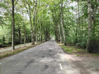 Casa per le vacanze Boornzwaag Ambiente 31