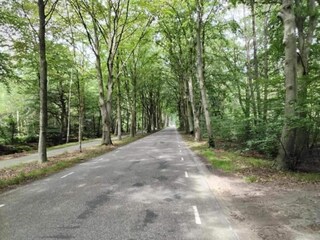 Vakantiehuis Boornzwaag Omgeving 34