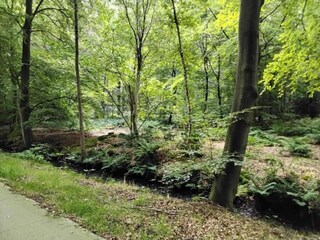 Maison de vacances Boornzwaag Environnement 33