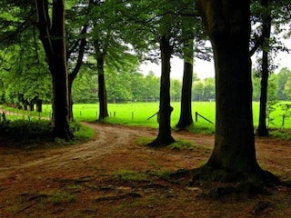 Vakantiehuis Boornzwaag Omgeving 33